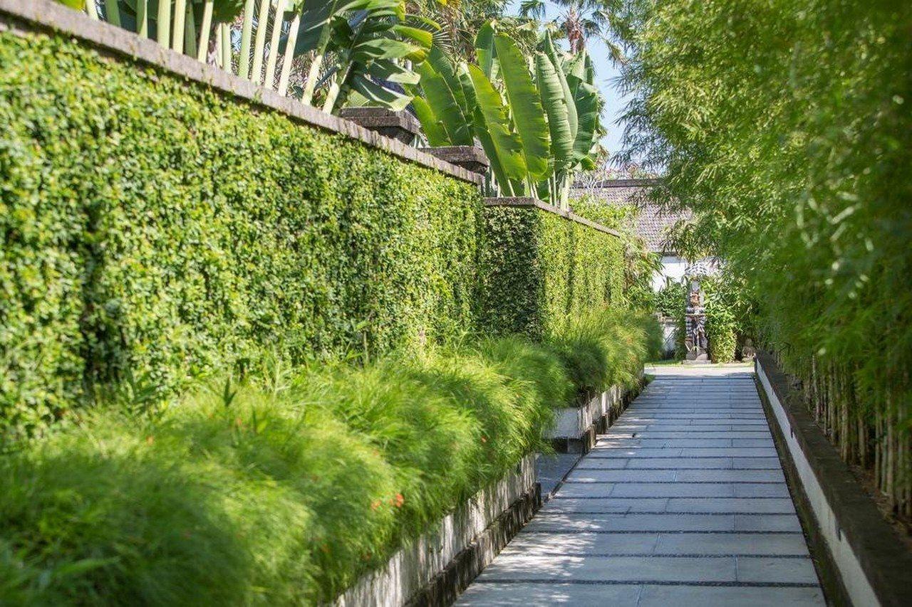 Villa Air Bali Boutique Resort And Spa Petitenget  Buitenkant foto